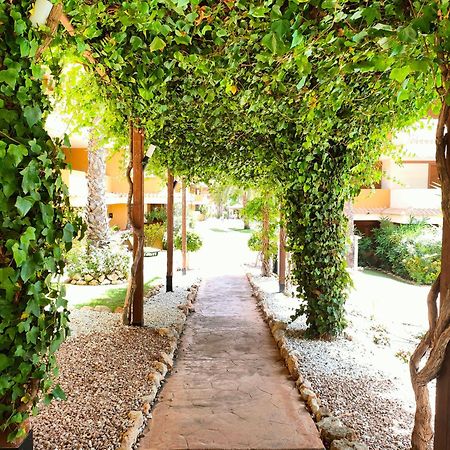 La Entrada Beach Club تورّيفيِخا المظهر الخارجي الصورة
