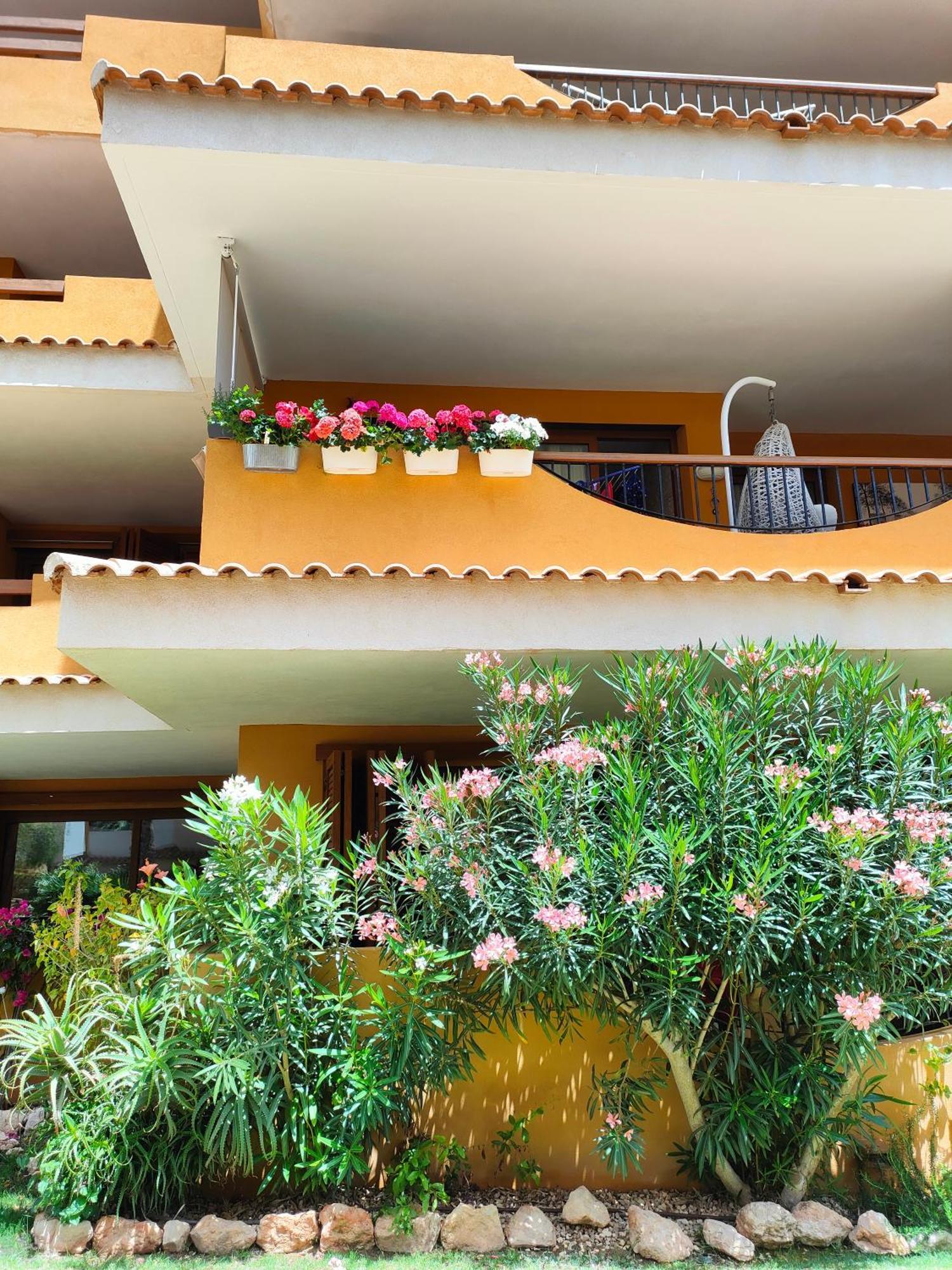 La Entrada Beach Club تورّيفيِخا المظهر الخارجي الصورة