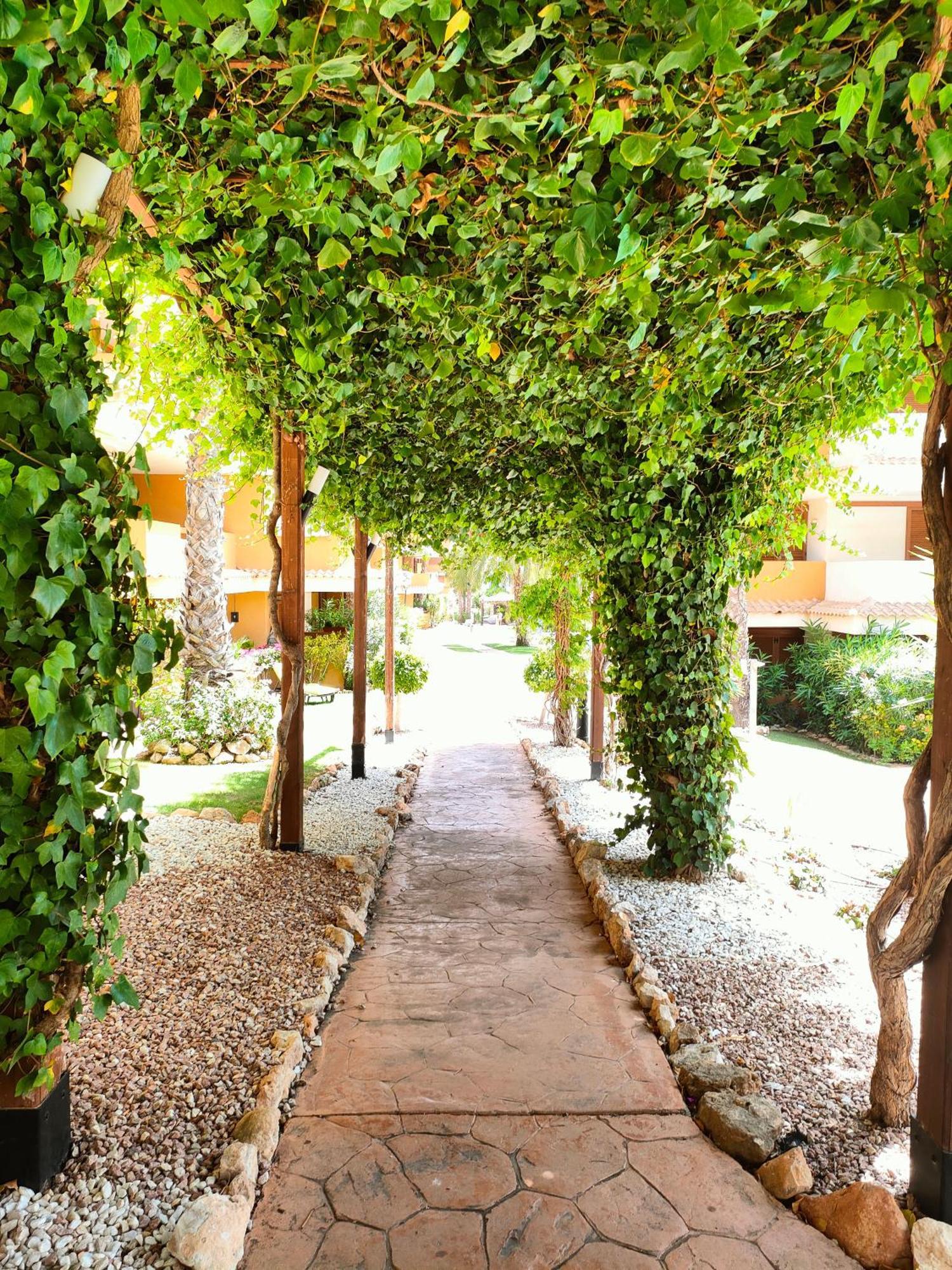 La Entrada Beach Club تورّيفيِخا المظهر الخارجي الصورة